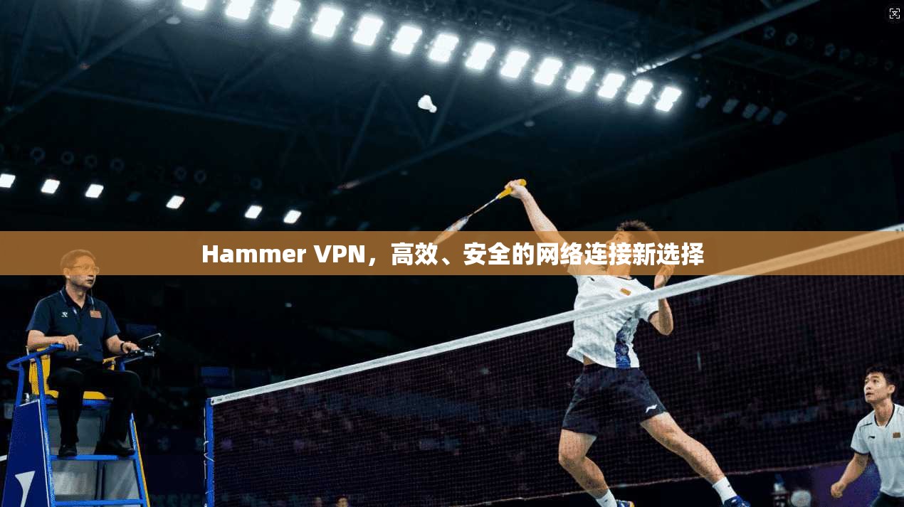 Hammer VPN，高效、安全的网络连接新选择