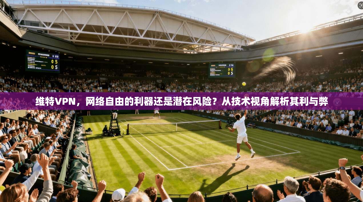 维特VPN，网络自由的利器还是潜在风险？从技术视角解析其利与弊