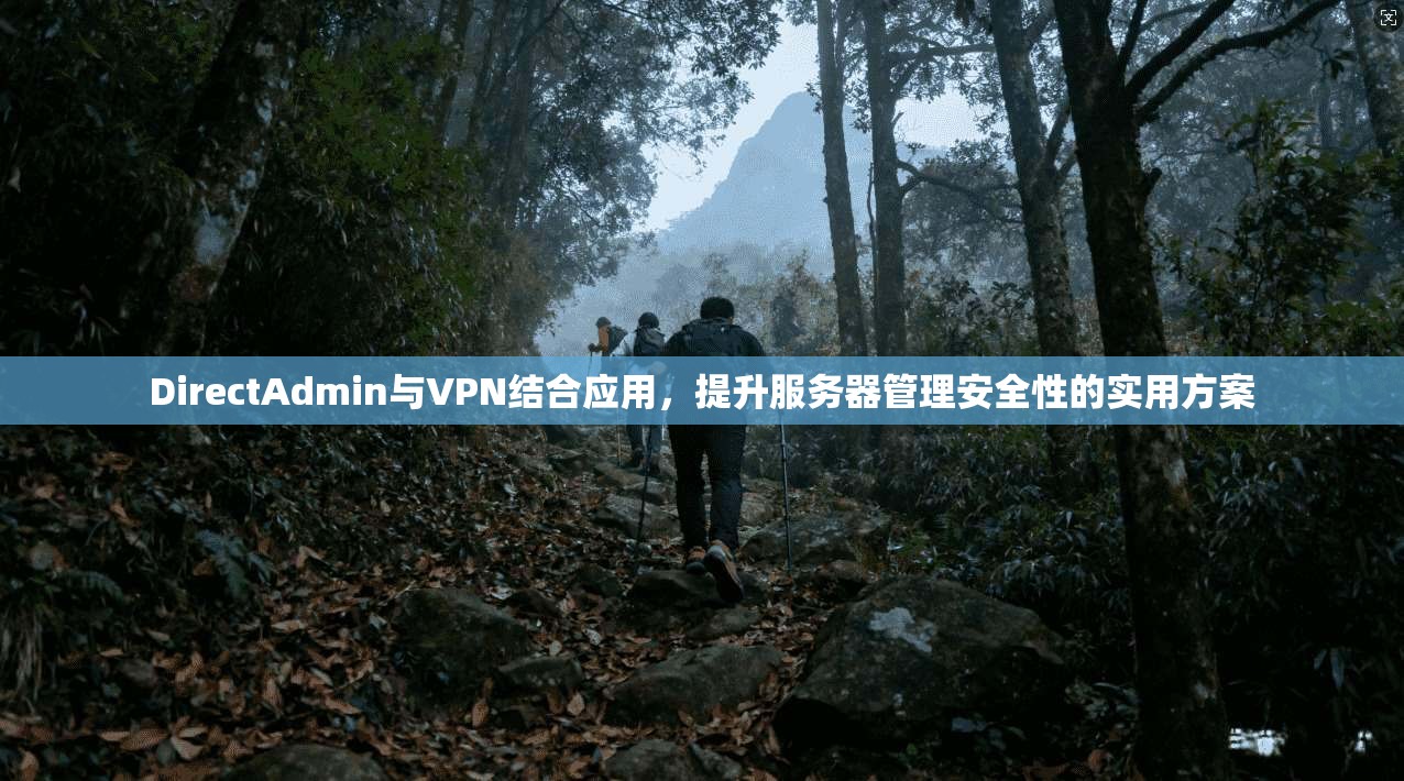 DirectAdmin与VPN结合应用，提升服务器管理安全性的实用方案