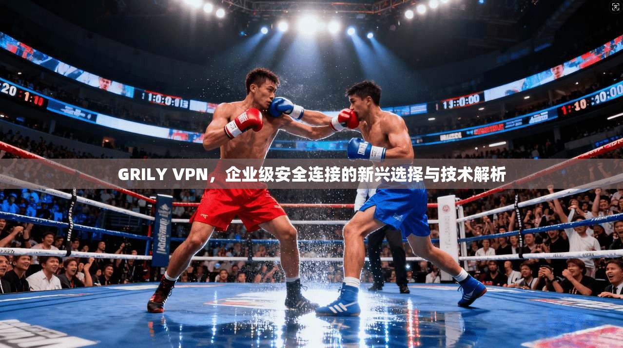 GRILY VPN，企业级安全连接的新兴选择与技术解析