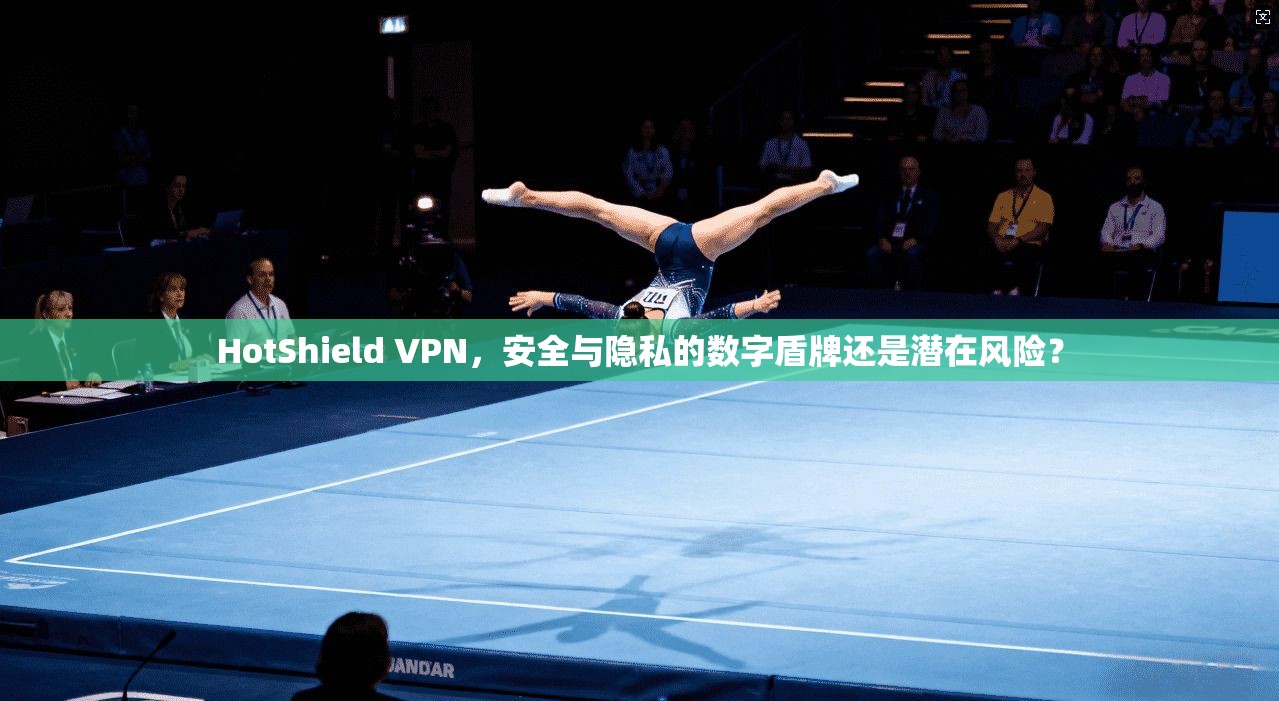 HotShield VPN，安全与隐私的数字盾牌还是潜在风险？