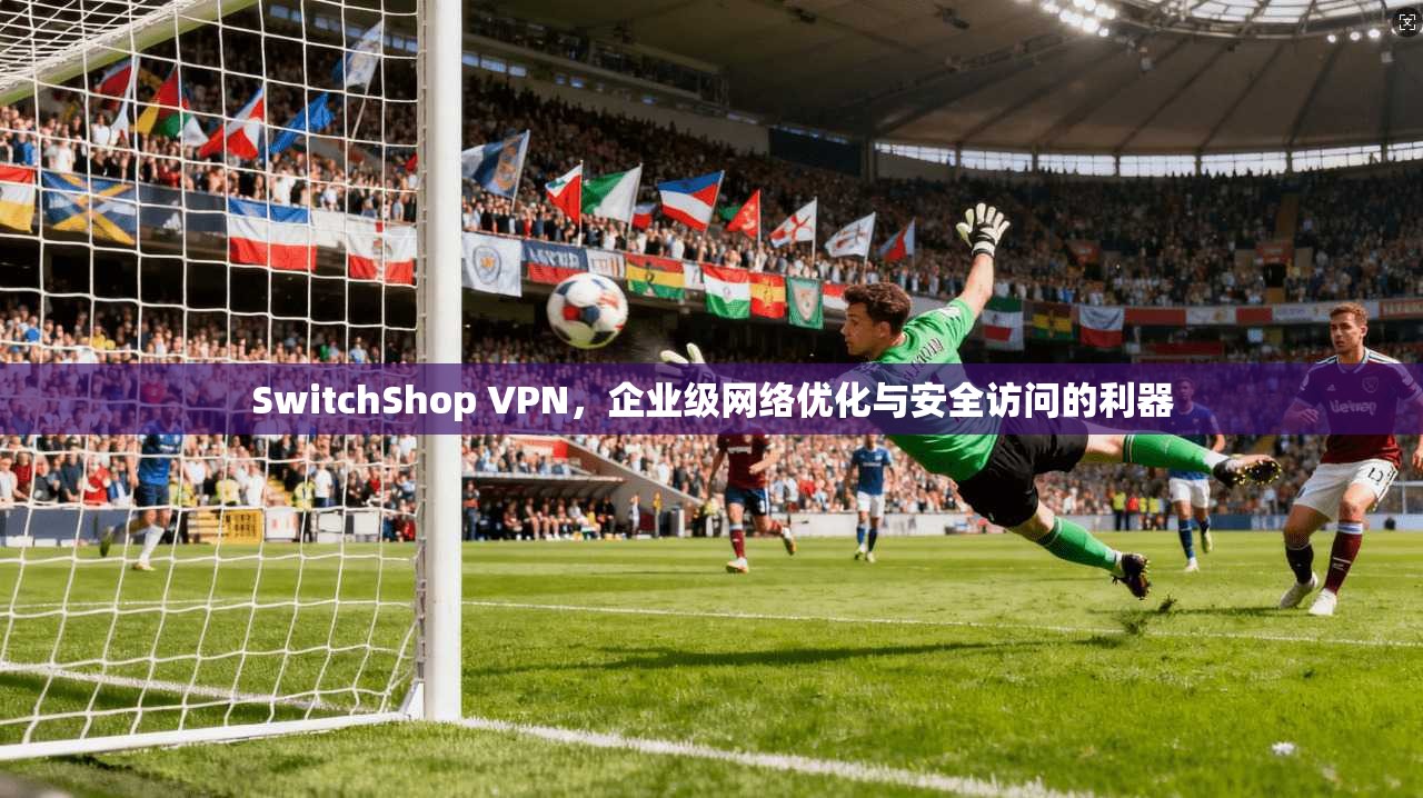SwitchShop VPN，企业级网络优化与安全访问的利器