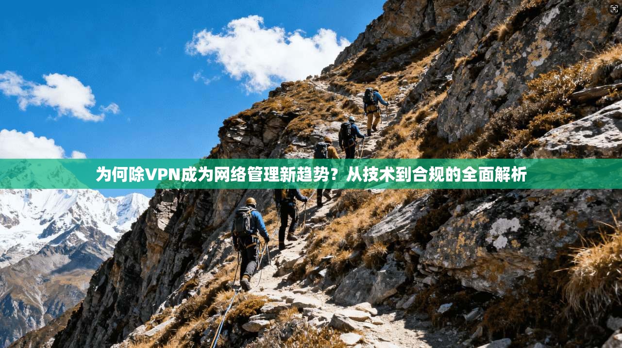 为何除VPN成为网络管理新趋势？从技术到合规的全面解析