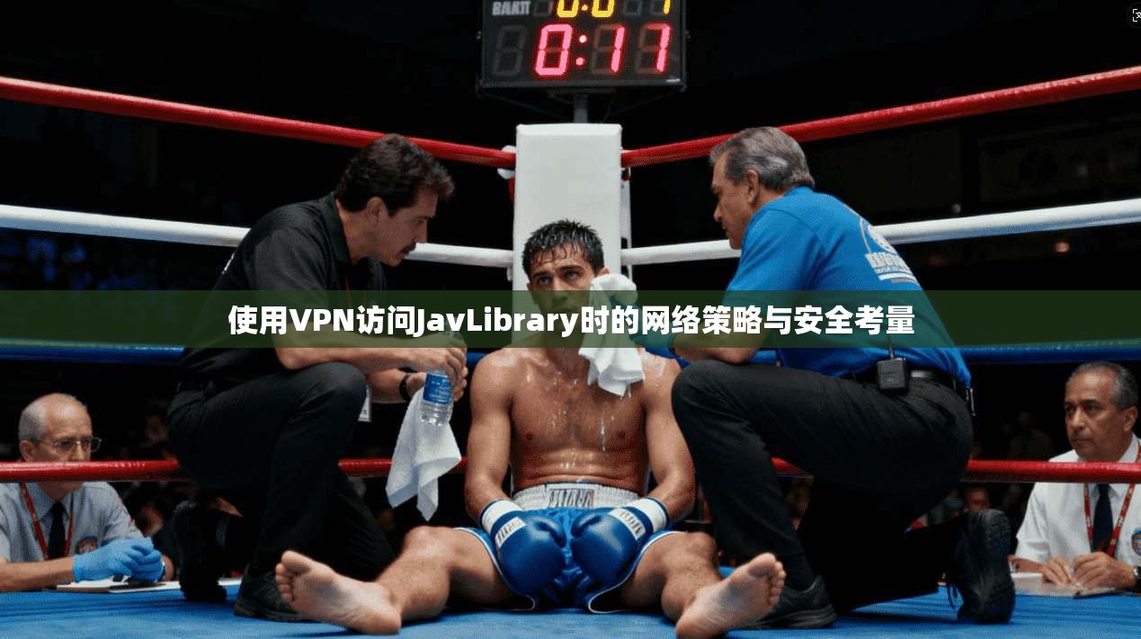 使用VPN访问JavLibrary时的网络策略与安全考量