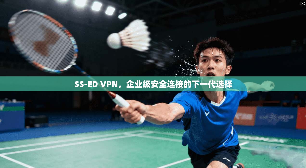 SS-ED VPN，企业级安全连接的下一代选择