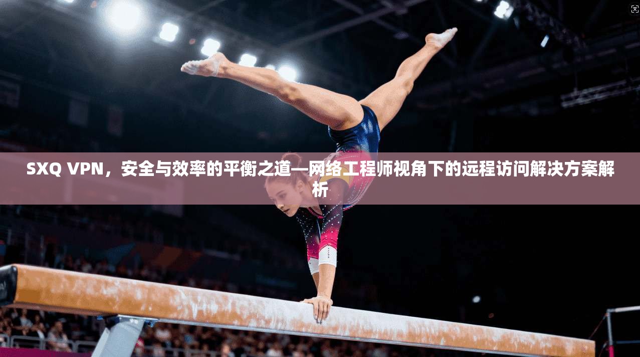 SXQ VPN，安全与效率的平衡之道—网络工程师视角下的远程访问解决方案解析