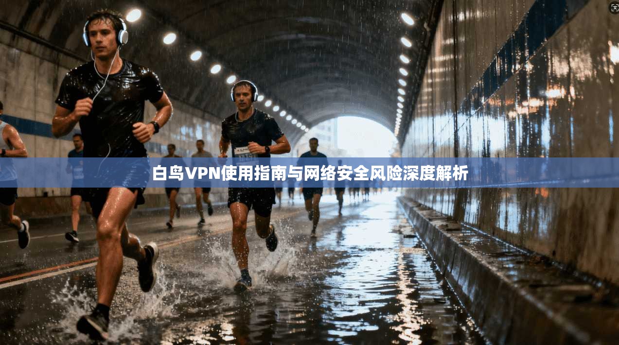 白鸟VPN使用指南与网络安全风险深度解析