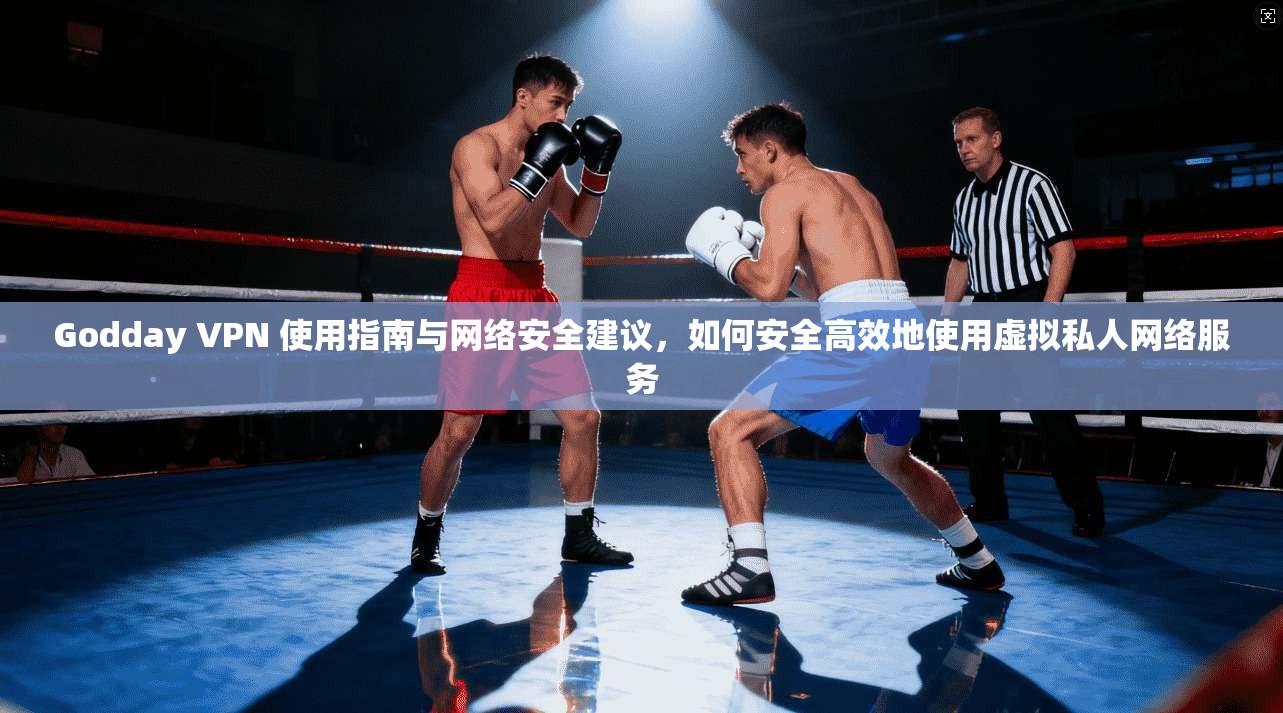 Godday VPN 使用指南与网络安全建议，如何安全高效地使用虚拟私人网络服务