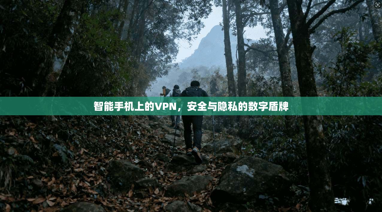 智能手机上的VPN，安全与隐私的数字盾牌