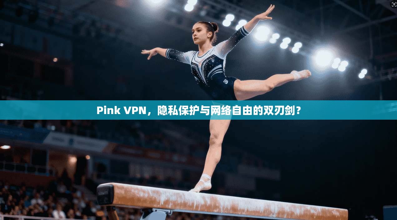 Pink VPN，隐私保护与网络自由的双刃剑？