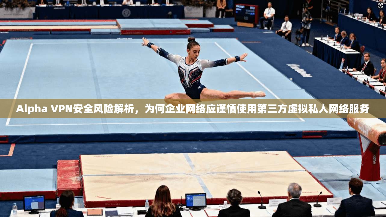 Alpha VPN安全风险解析，为何企业网络应谨慎使用第三方虚拟私人网络服务