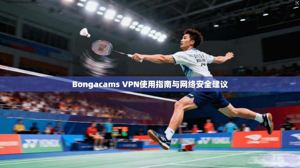 Bongacams VPN使用指南与网络安全建议