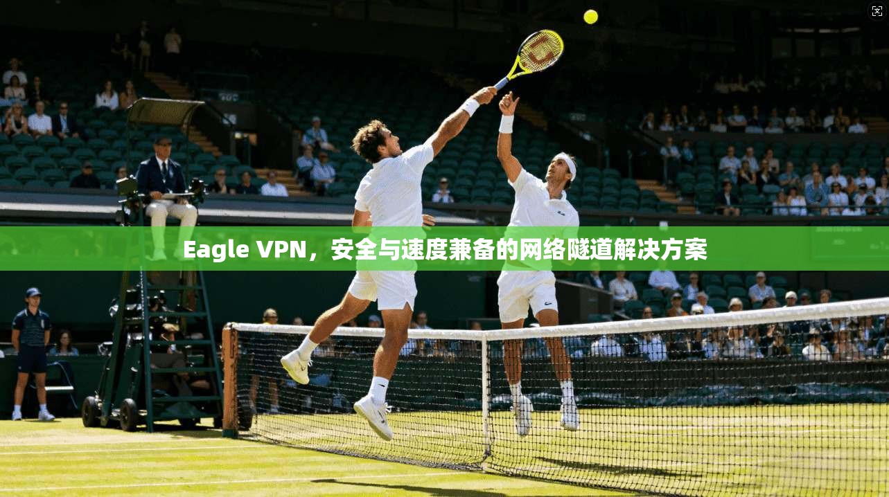 Eagle VPN，安全与速度兼备的网络隧道解决方案