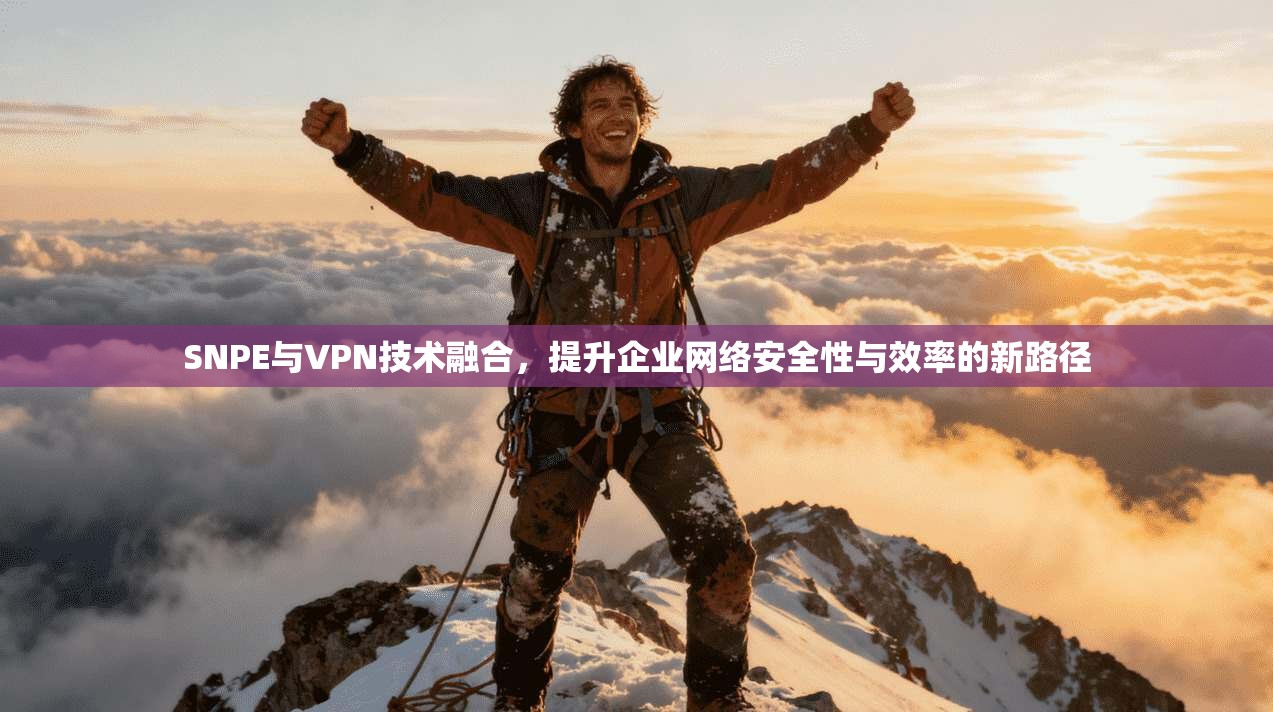 SNPE与VPN技术融合，提升企业网络安全性与效率的新路径