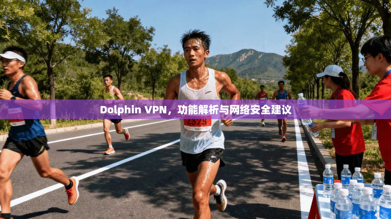 Dolphin VPN，功能解析与网络安全建议