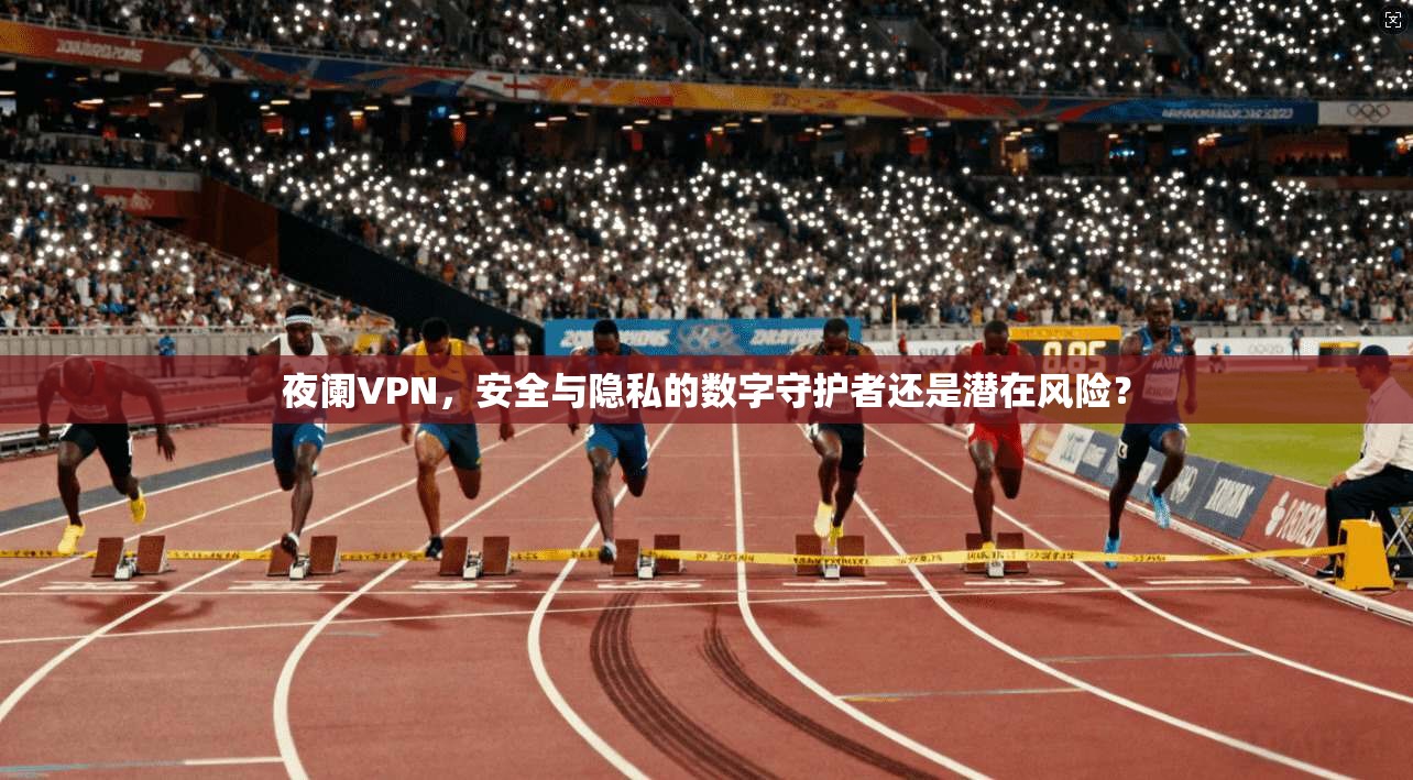 夜阑VPN，安全与隐私的数字守护者还是潜在风险？
