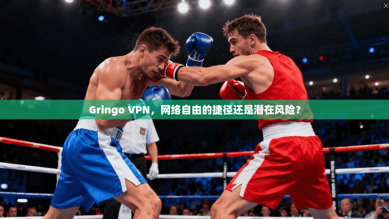 Gringo VPN，网络自由的捷径还是潜在风险？