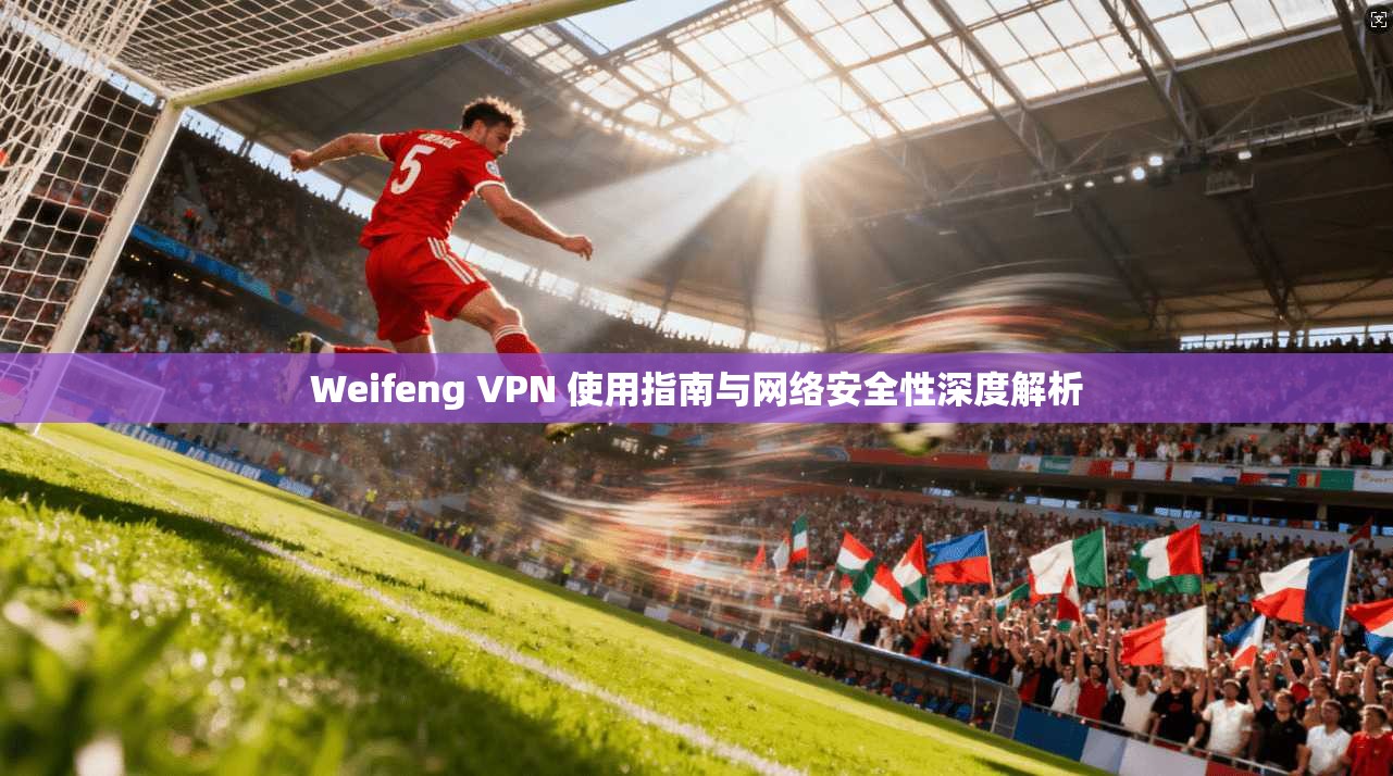 Weifeng VPN 使用指南与网络安全性深度解析