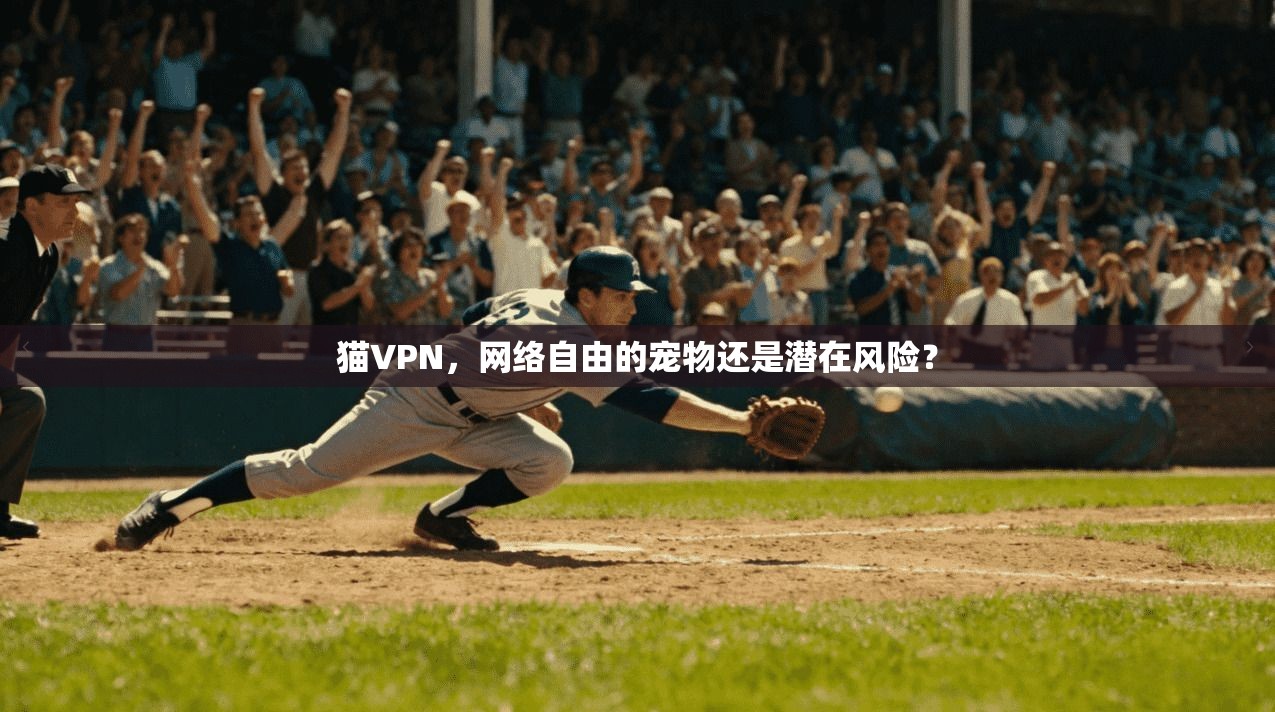 猫VPN，网络自由的宠物还是潜在风险？