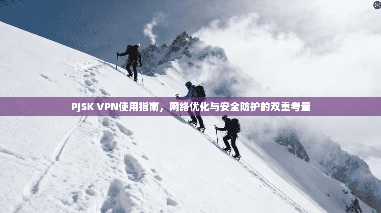 PJSK VPN使用指南，网络优化与安全防护的双重考量