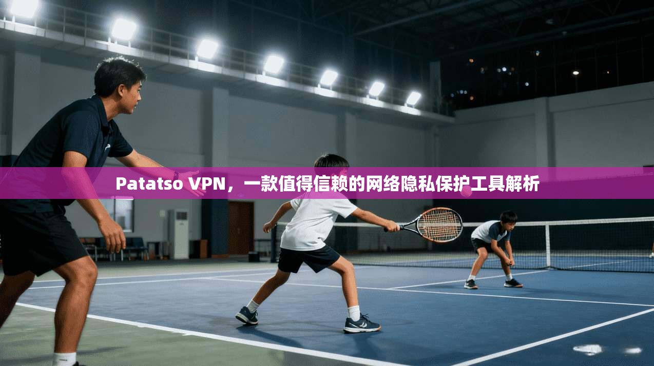 Patatso VPN，一款值得信赖的网络隐私保护工具解析