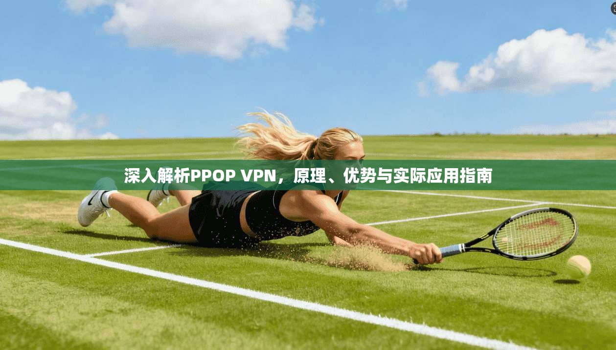 深入解析PPOP VPN，原理、优势与实际应用指南