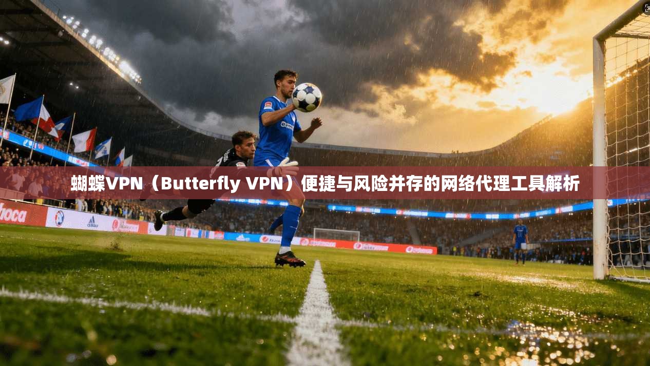 蝴蝶VPN（Butterfly VPN）便捷与风险并存的网络代理工具解析