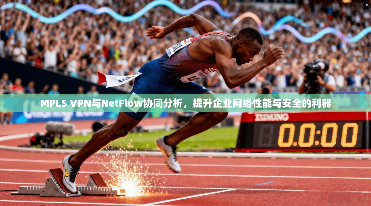 MPLS VPN与NetFlow协同分析，提升企业网络性能与安全的利器
