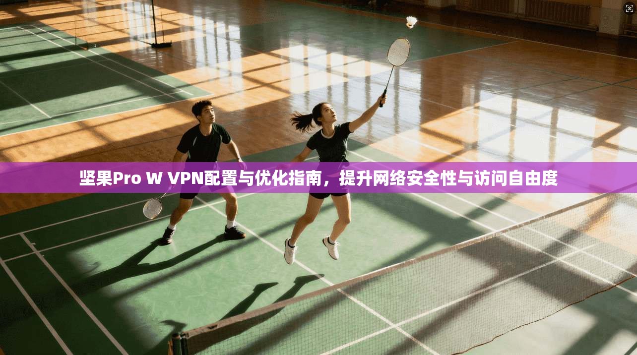 坚果Pro W VPN配置与优化指南，提升网络安全性与访问自由度