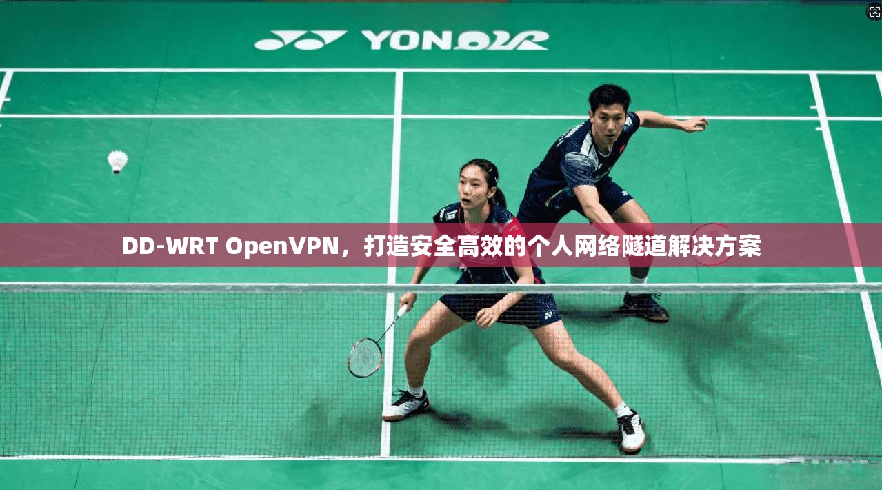 DD-WRT OpenVPN，打造安全高效的个人网络隧道解决方案