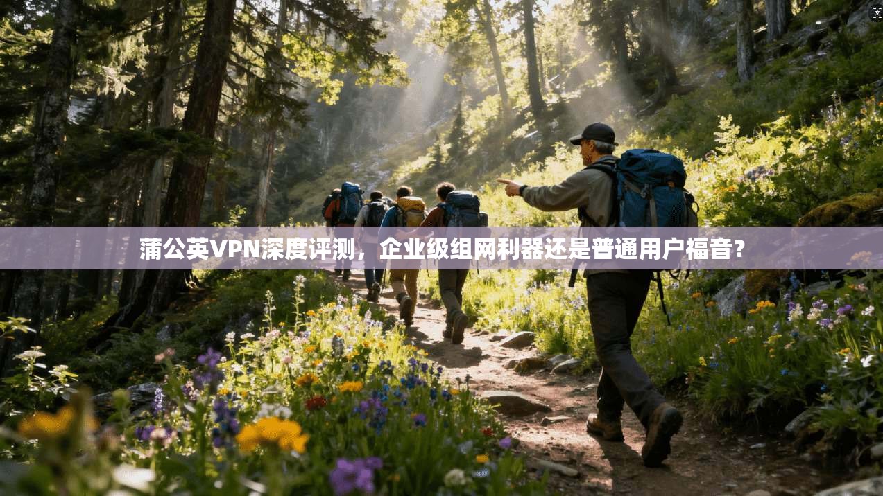 蒲公英VPN深度评测，企业级组网利器还是普通用户福音？