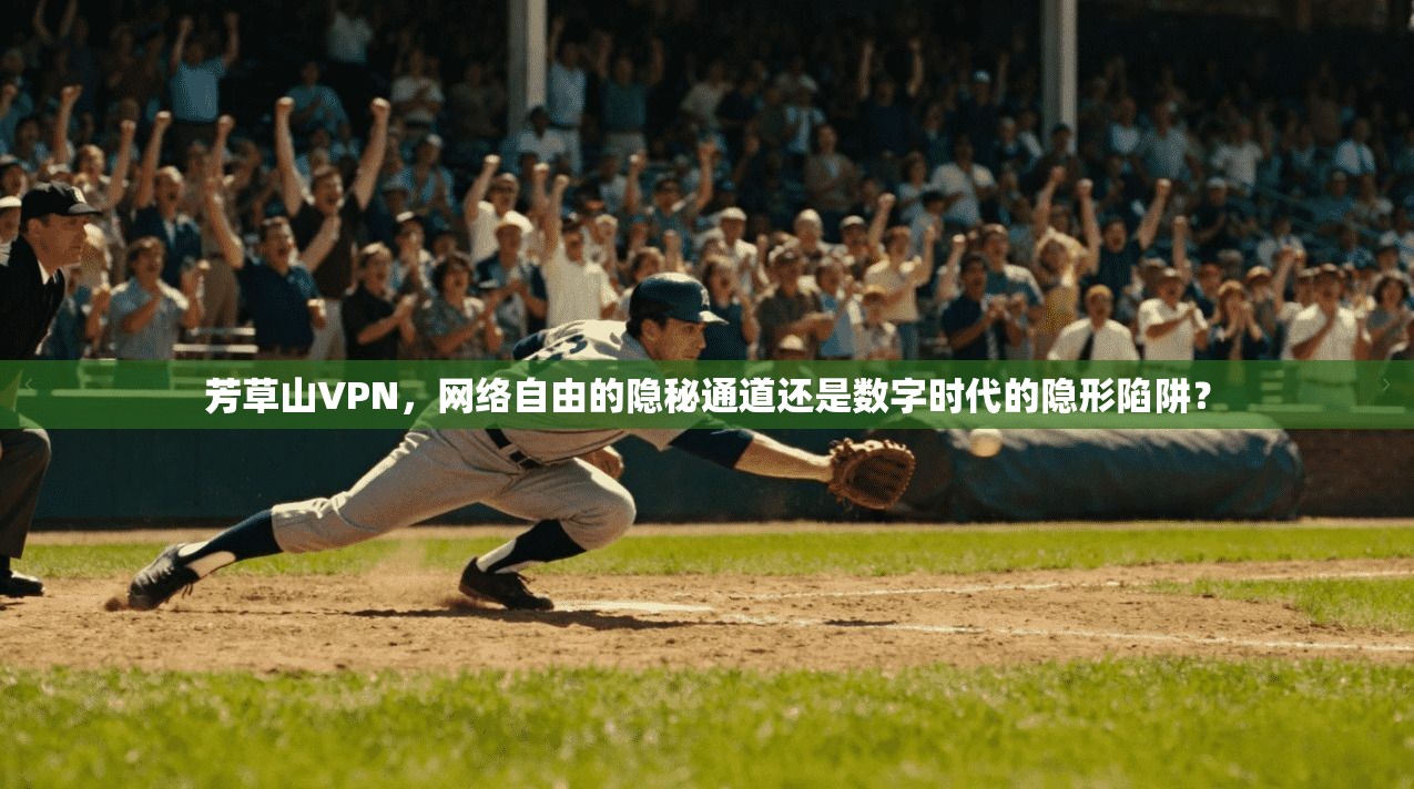 芳草山VPN，网络自由的隐秘通道还是数字时代的隐形陷阱？