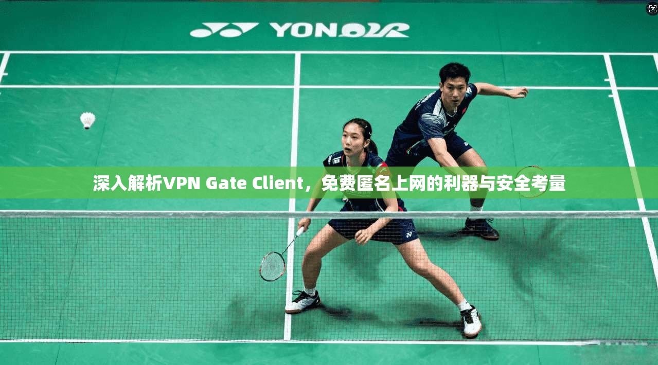 深入解析VPN Gate Client，免费匿名上网的利器与安全考量