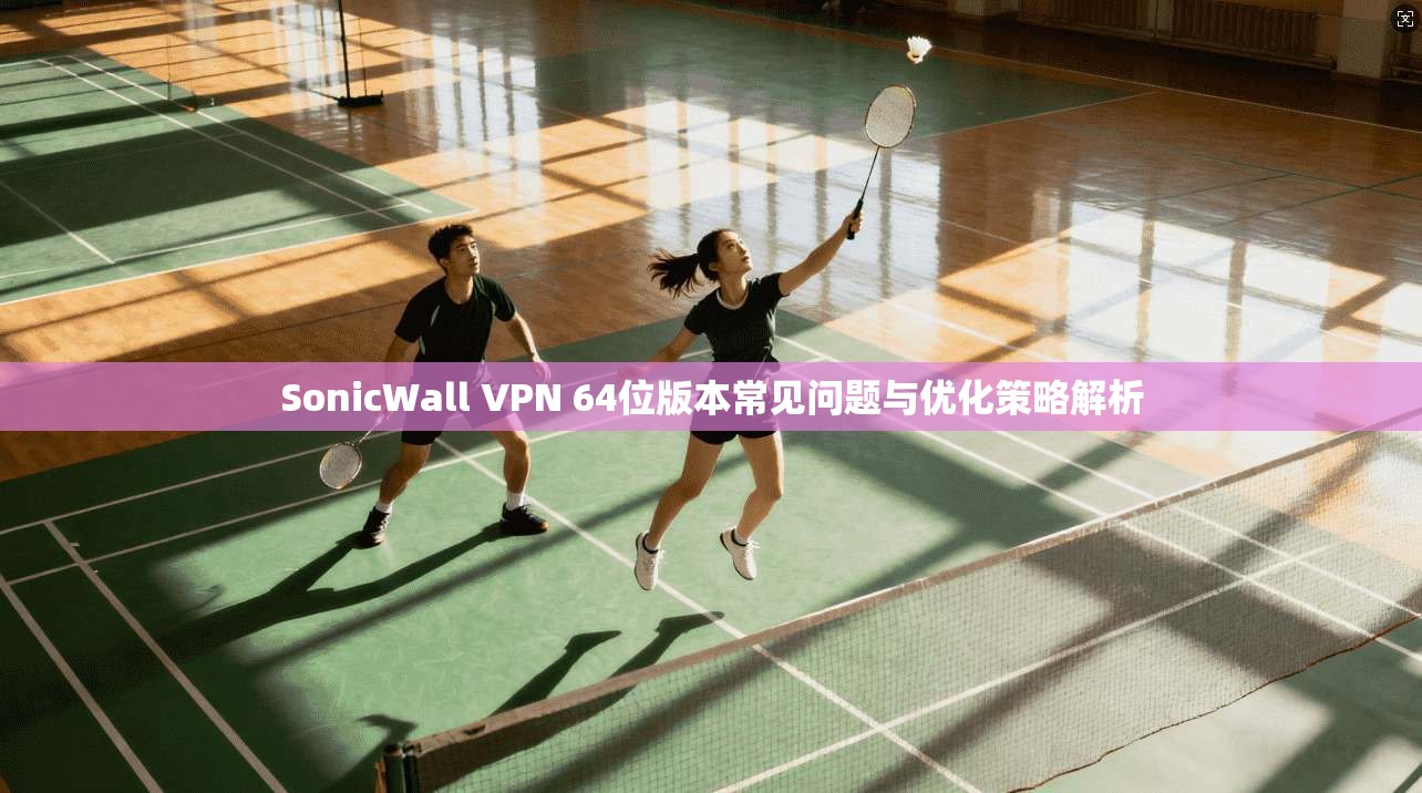 SonicWall VPN 64位版本常见问题与优化策略解析