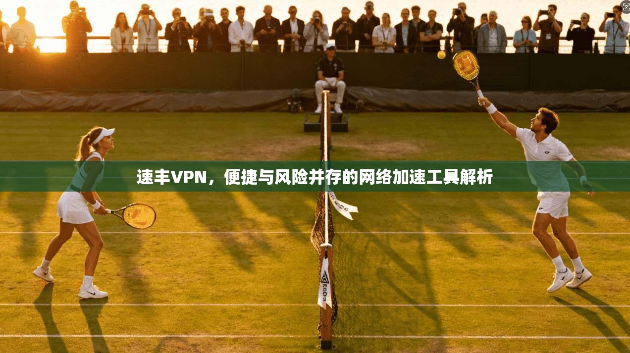 速丰VPN，便捷与风险并存的网络加速工具解析