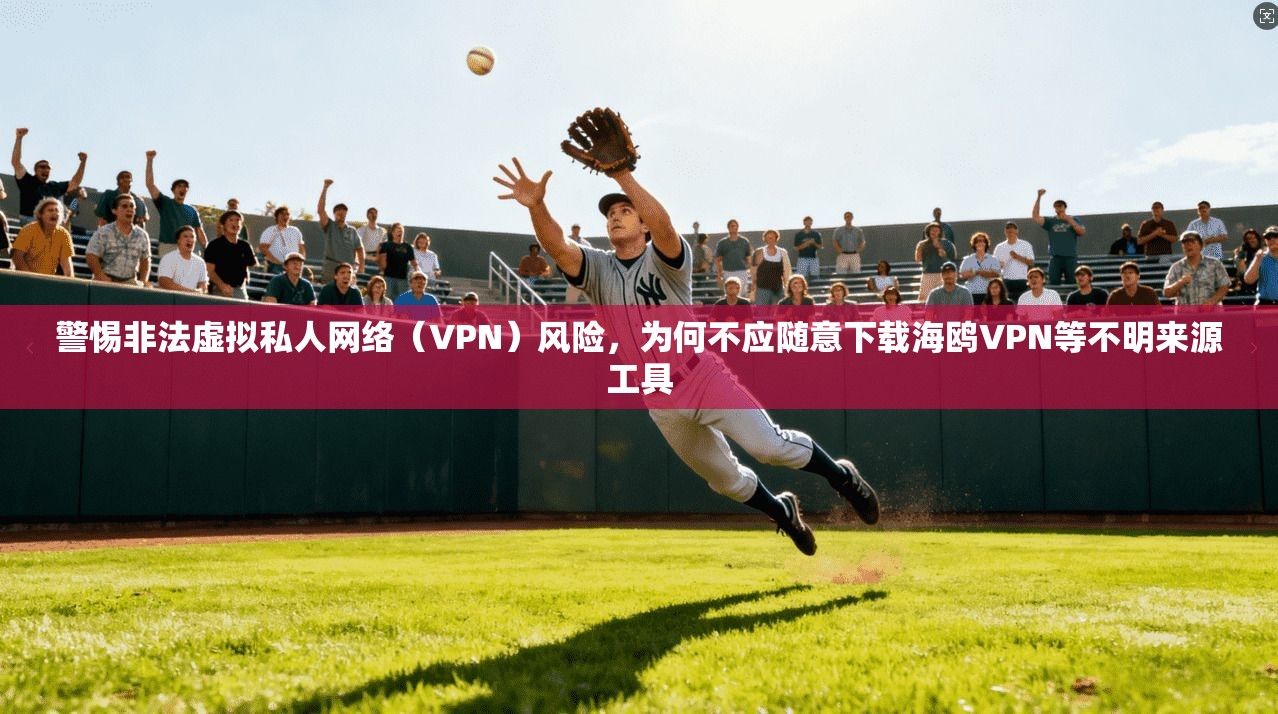 警惕非法虚拟私人网络（VPN）风险，为何不应随意下载海鸥VPN等不明来源工具