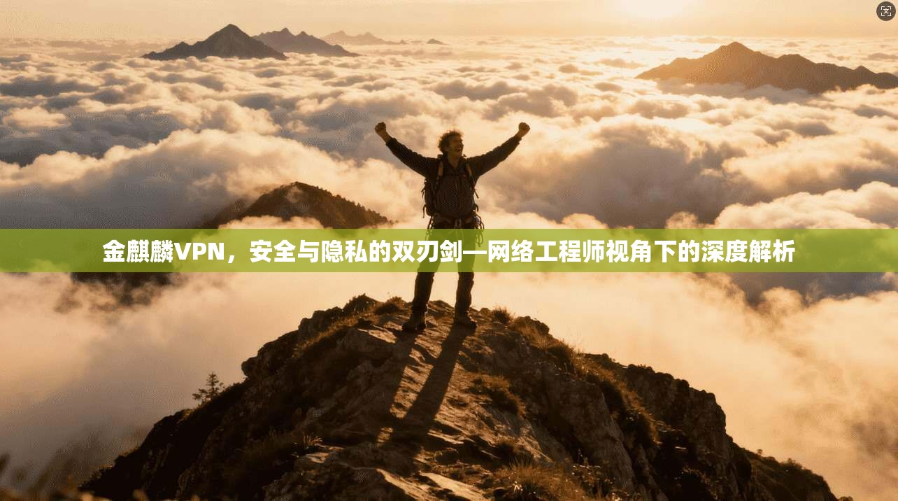 金麒麟VPN，安全与隐私的双刃剑—网络工程师视角下的深度解析
