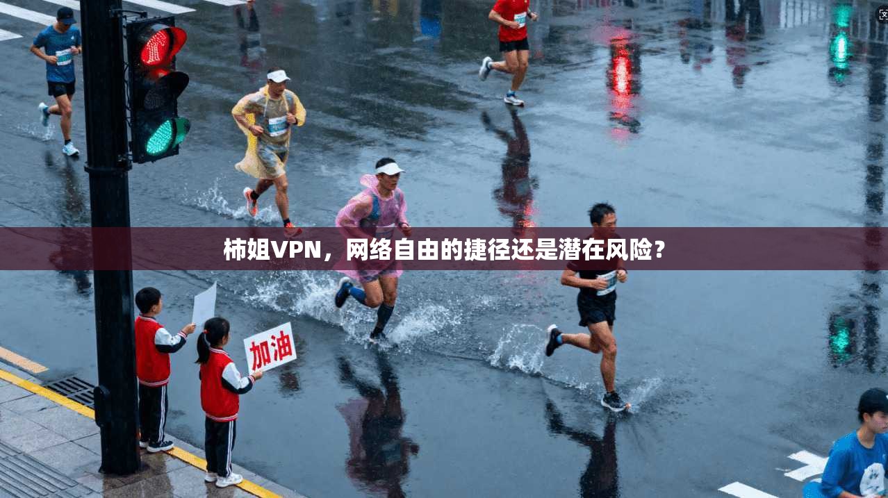 柿姐VPN，网络自由的捷径还是潜在风险？