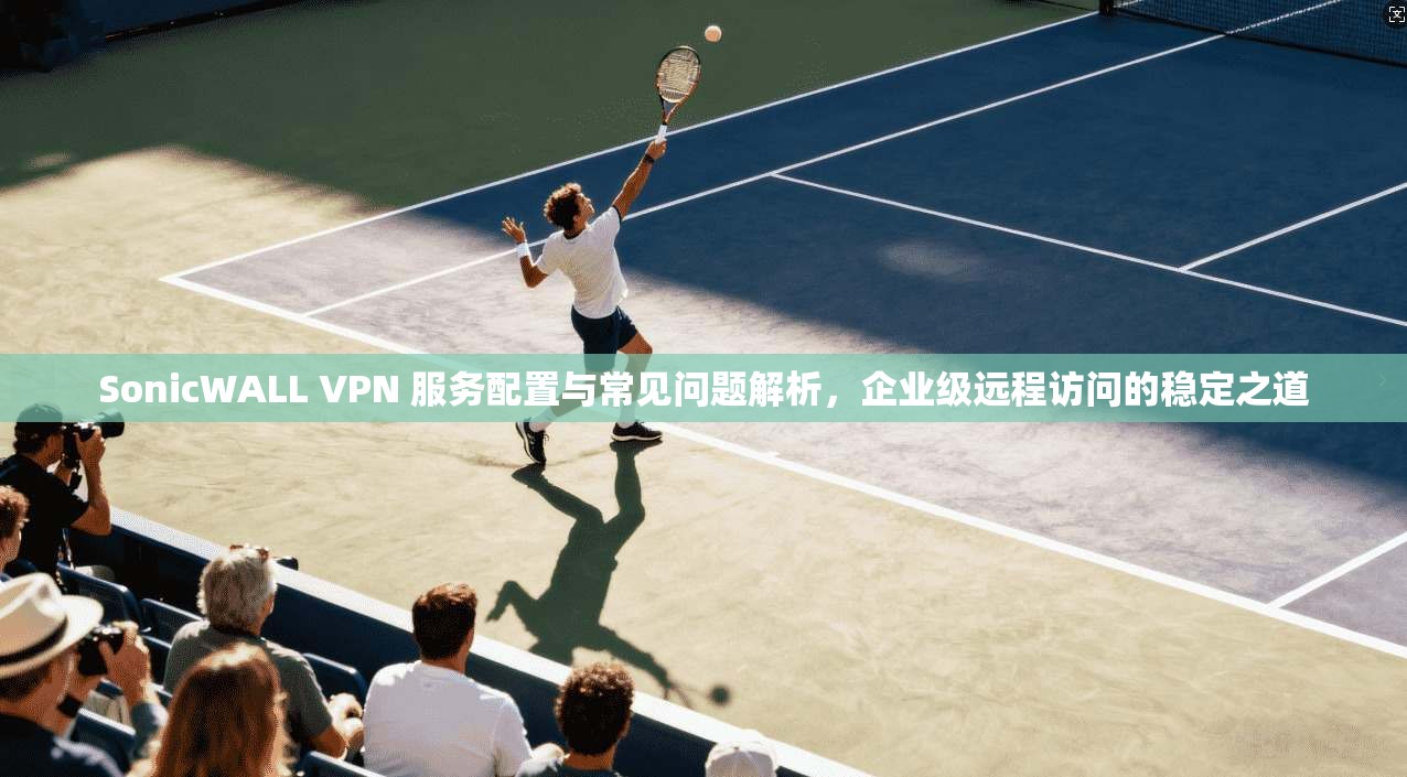 SonicWALL VPN 服务配置与常见问题解析，企业级远程访问的稳定之道