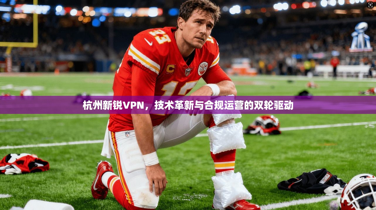 杭州新锐VPN，技术革新与合规运营的双轮驱动
