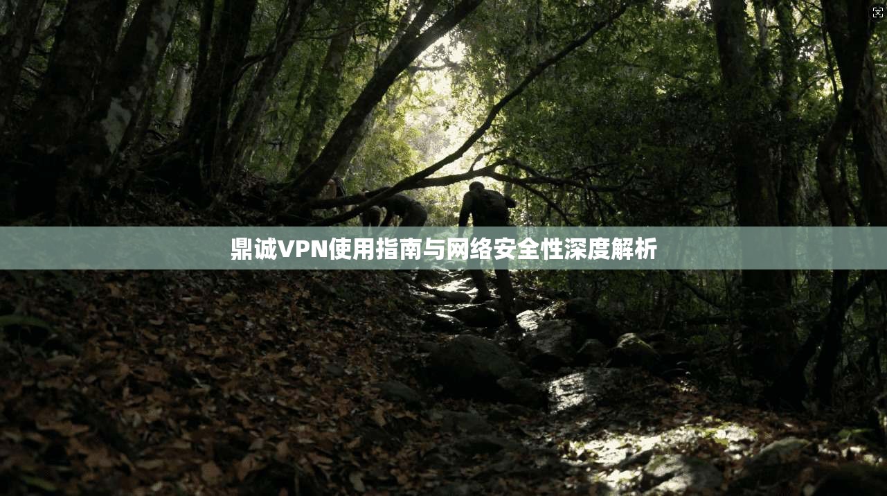 鼎诚VPN使用指南与网络安全性深度解析
