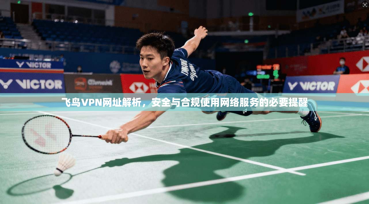 飞鸟VPN网址解析，安全与合规使用网络服务的必要提醒