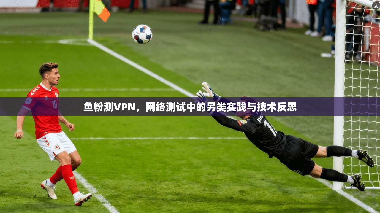 鱼粉测VPN，网络测试中的另类实践与技术反思