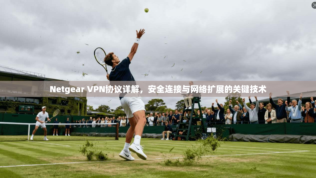 Netgear VPN协议详解，安全连接与网络扩展的关键技术