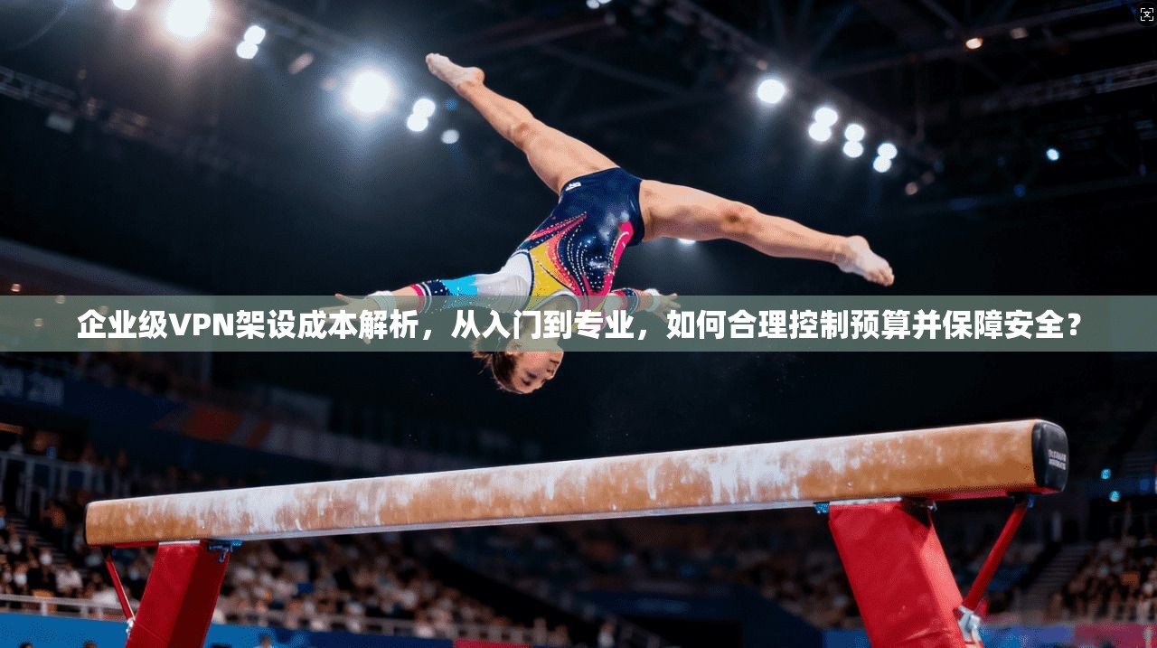 企业级VPN架设成本解析，从入门到专业，如何合理控制预算并保障安全？
