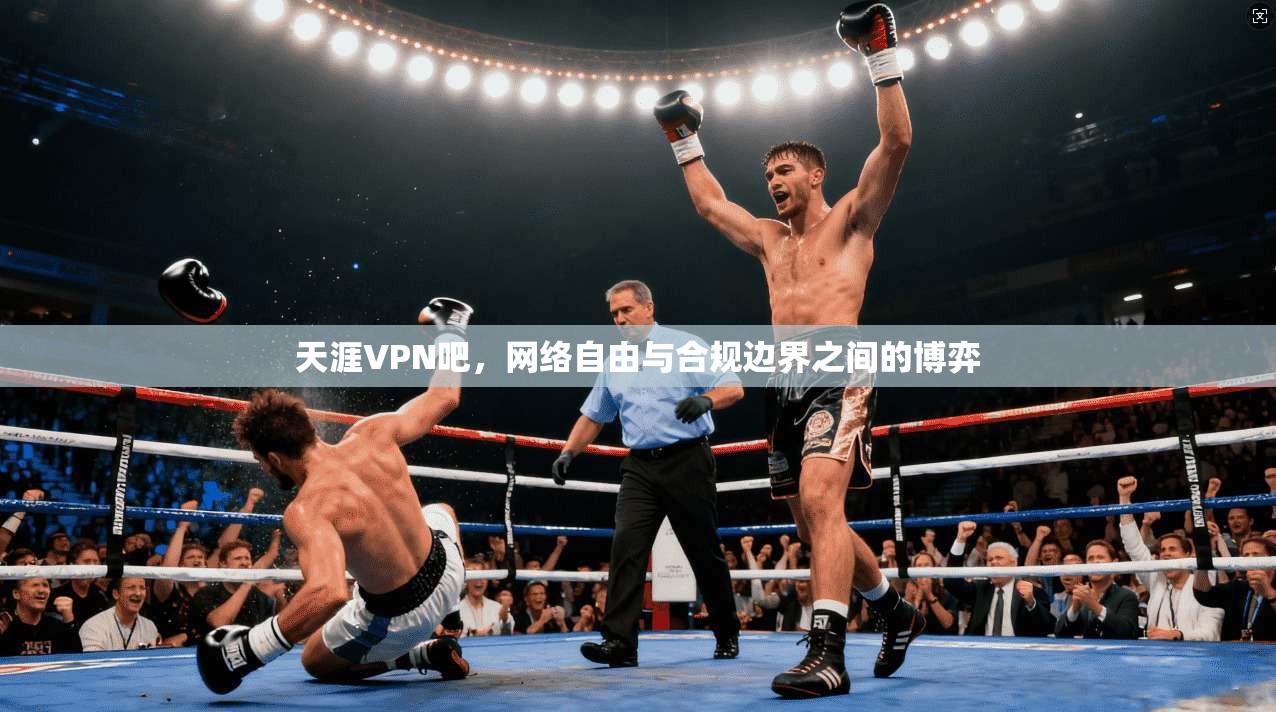天涯VPN吧，网络自由与合规边界之间的博弈