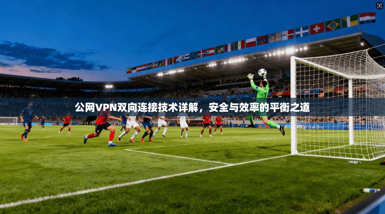 公网VPN双向连接技术详解，安全与效率的平衡之道