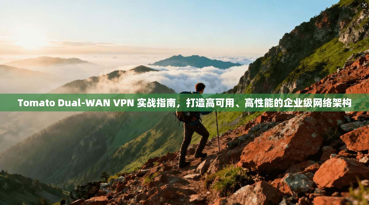 Tomato Dual-WAN VPN 实战指南，打造高可用、高性能的企业级网络架构