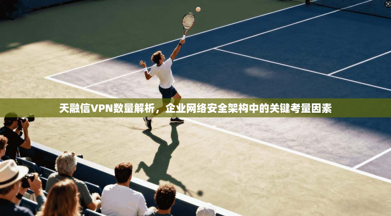 天融信VPN数量解析，企业网络安全架构中的关键考量因素
