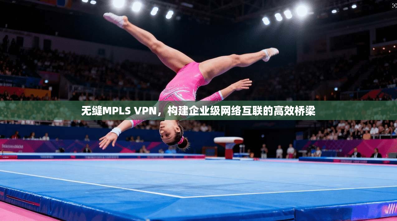 无缝MPLS VPN，构建企业级网络互联的高效桥梁